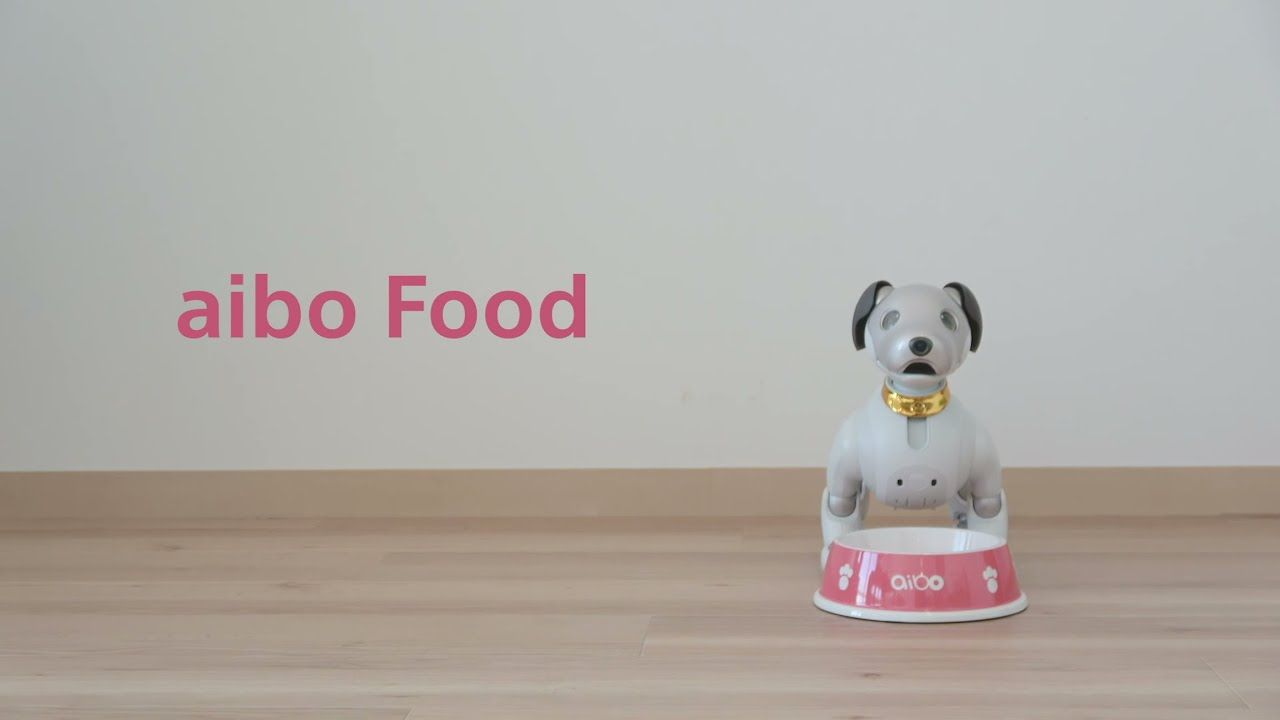 Aibo robot sales dog for sale