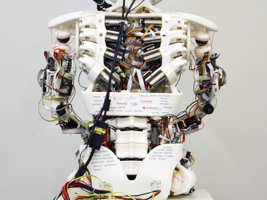 Close-up of the robots torso with skeletal and musculature exposed.