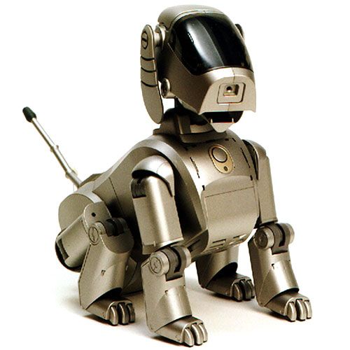 Ibot 2025 robot dog