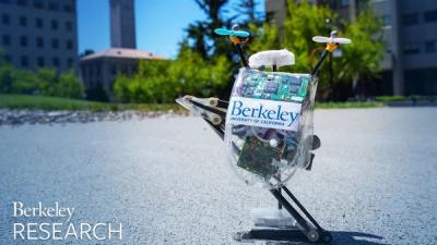 A small one-legged robot with a plastic body with the word Berkeley stands on the ground at a university campus.