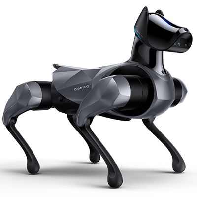 A black and silver robotic dog poses on four legs.