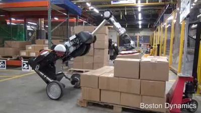 Handle moving boxes at a warehouse.