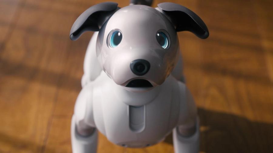 Living with Aibo.