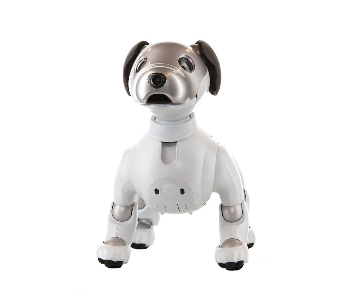 File:Sony, aibo (cane robot), anni 2000 (ist. biorobotica polo