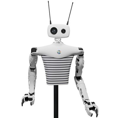 A black and white robotic torso with two white arms ending in two finger gripper hands, and a white head with two camera eyes, one large and one small. There are two pointed antenna protruding from the robot's head.
