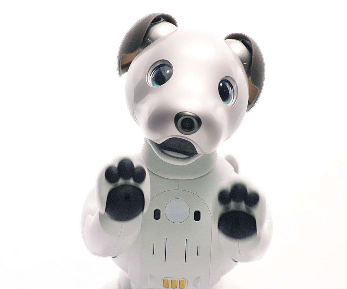 Sony's robot dog Aibo is headed to the US for a cool $2,899 - The