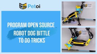 Two photos show a small plastic robot dog with yellow, black, and blue body raising one of its arms and hanging upside down, with text saying Program Open Source Robot Dog Bittle to Do Tricks.