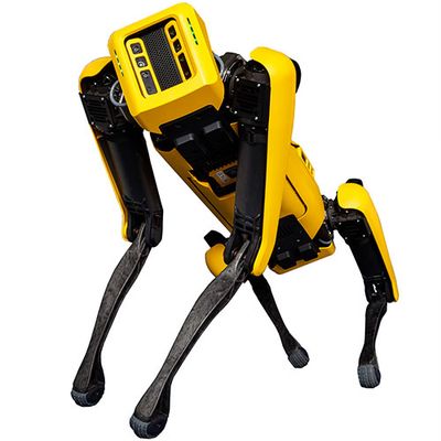 A four legged black and yellow robot sits on its back legs while balancing with its front ones, like arms. It's face is a yellow square full of sensors.
