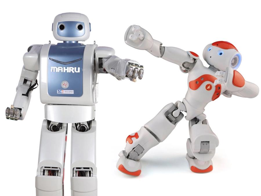 Two humanoid robots, one gray and blue and the other gray and red, in a kung fu stance, set against a white background.