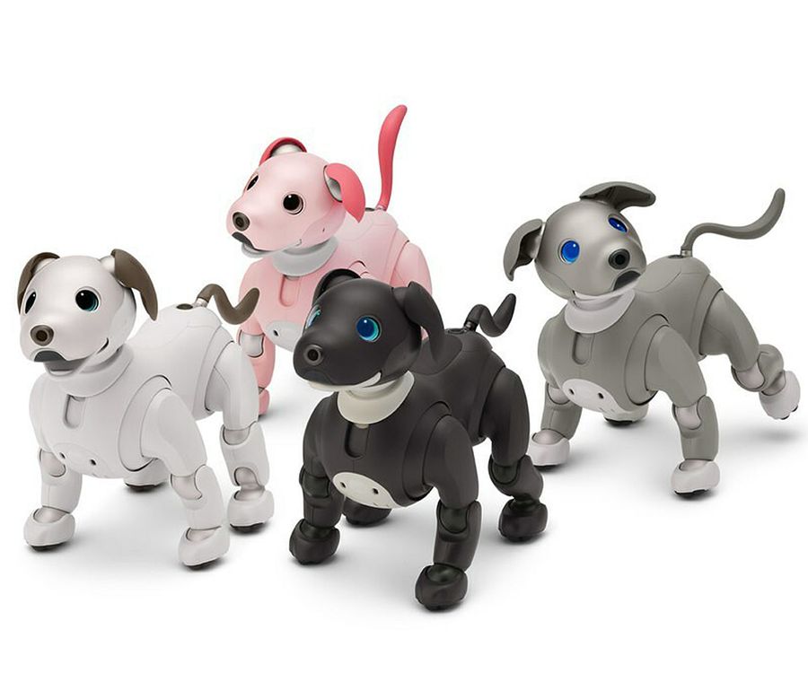 A group shot of four Aibo robotic dogs in different colors.