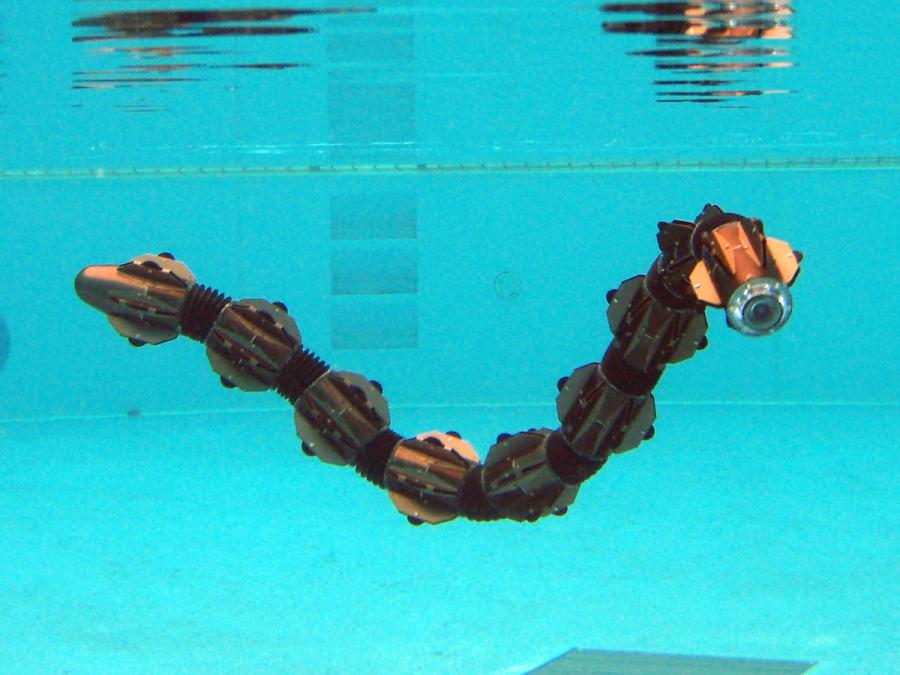 A segmented, snake-like robot underwater.