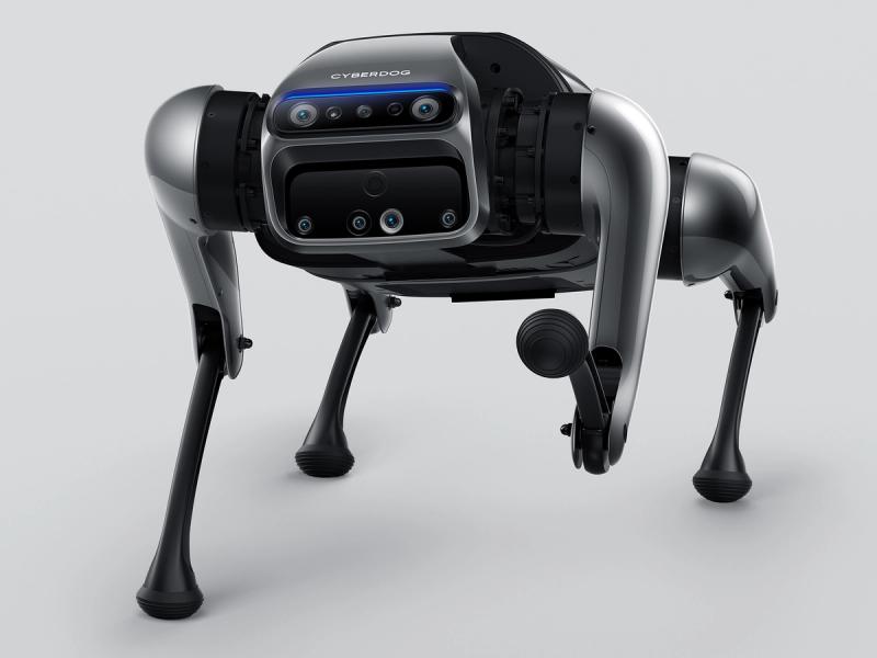 Xiaomi's CyberDog quadruped robot lifts one leg. It's face is composed of cameras and sensors.