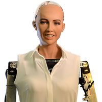 A female appearing robot with realistic peachy skin, green eyes, delicate nose, and pink lips with a tooth showing smile. The top of the robots head is a translucent cover housing electronics, and the robot wears a blouse over her robotic torso and arms.