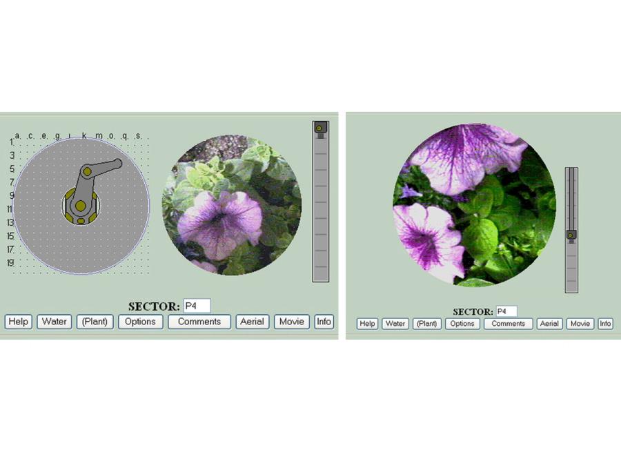 Screenshots show the display a user would see including the arm and close-ups of flowers.