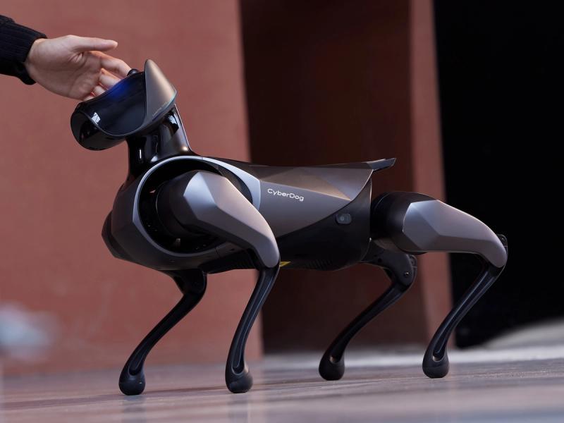 A hand reaches out to put a robotic quadruped.