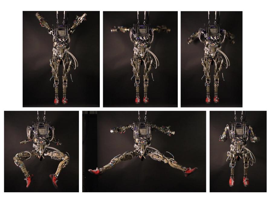 Five photos show the robot held up by a harness as it shows off physical movements including a wide split, a bow and donkey-kicking its feet.
