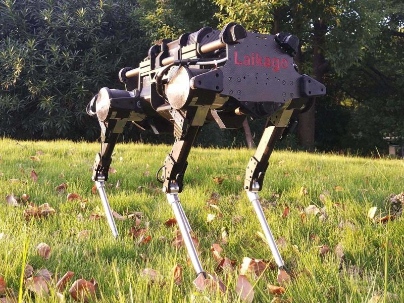 A black quadruped with a rectangular base labelled Laikago stands in grass.