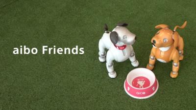 Two robotics dogs, one white and one golden brown, stand next to each other on a green carpet in front of a dog bowl, and words next to them read Aibo Friends.