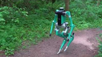 A bipedal robot walks through the woods.