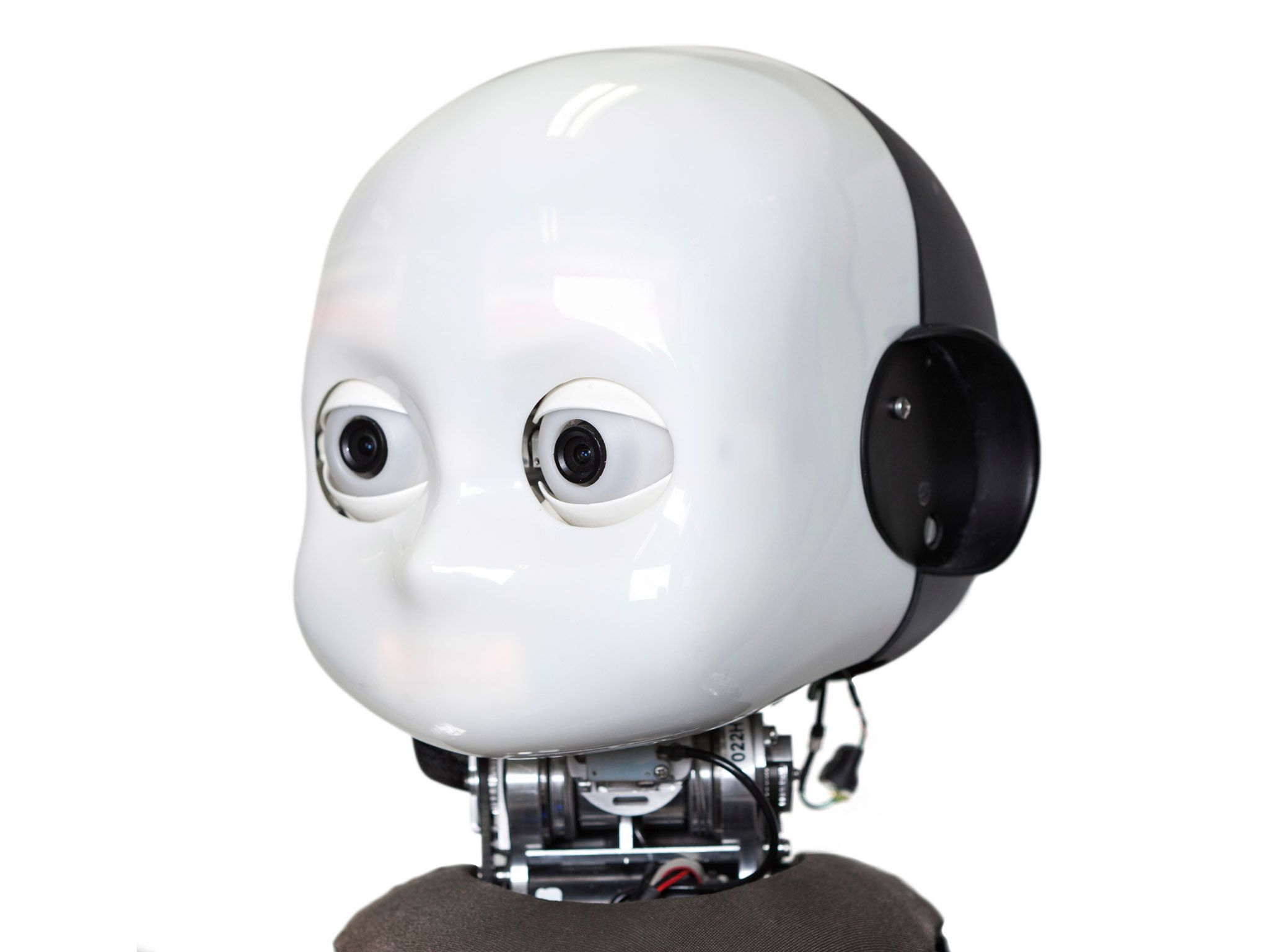 Robot: iCub