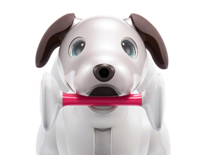 A white robot dog with blue eyes and brown ears holds a pink and white bone toy in its mouth.