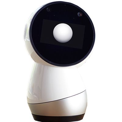 Jibo is a simple robot with a circular black display screen and bowling pin shaped white and silver base.