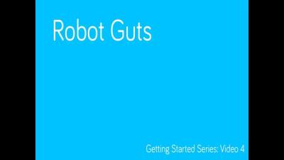 Robot guts.