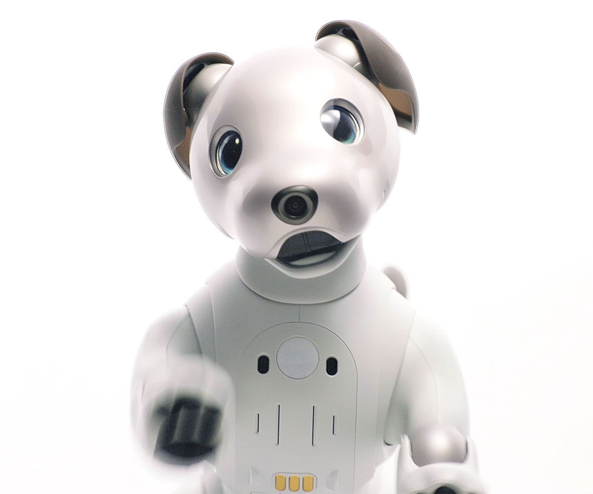 Fashion sony dog robot aibo