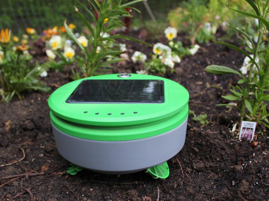 A small green robot with a solar panel on top in a flower garden.