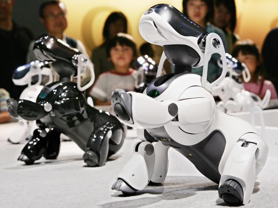 Two robotic dogs raising their paw in unison.