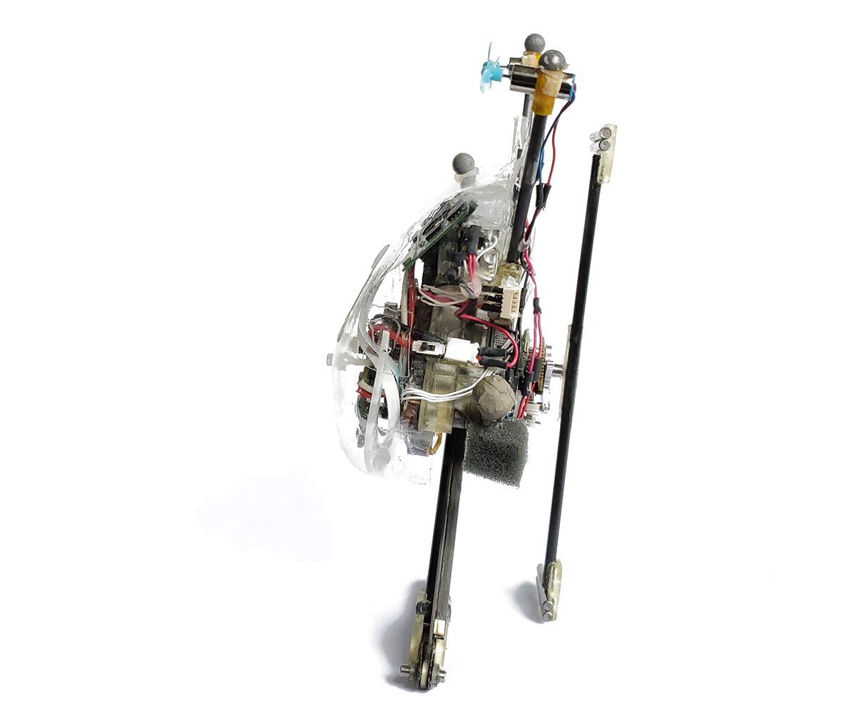 Meet Salto, the One-Legged Robot With an Incredible Leap