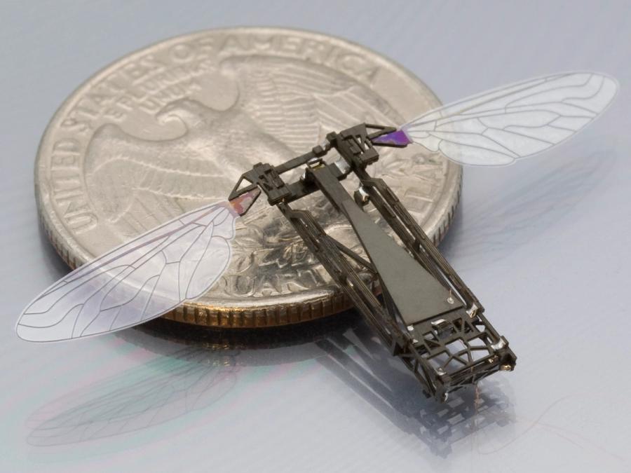 A robotic bee perches on the side of a quarter.