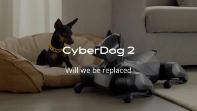Four-legged robot with gray plastic body sits on a living room next to a small real dog that appears to be looking at the robot.