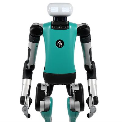 Digit is a teal bipedal robot with long arms, a spherical head with glowing eyes, and many sensors and cameras visible in it's neck. The Agility Robotics logo is on its chest.