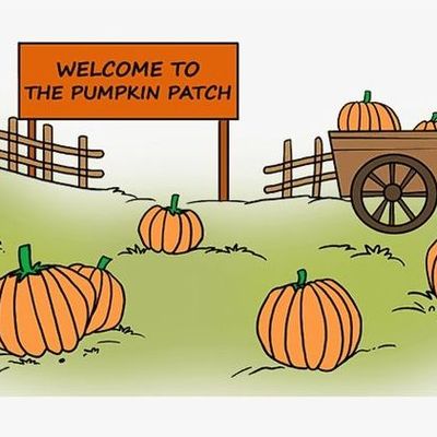 Countrywood Pumpkin Hunt
