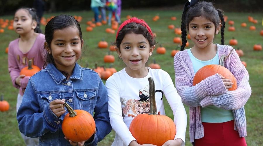 Fun at the Pumpkin Hunt