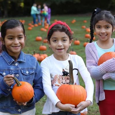 Fun at the Pumpkin Hunt