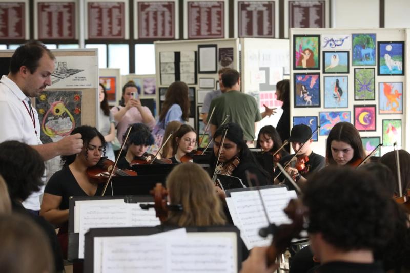 chamber orchestra performing at festival of the arts