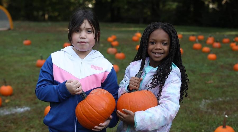 Pumpkin Hunt