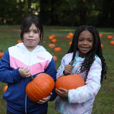 Pumpkin Hunt