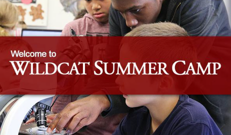 Wildcat Summer Camps 2023