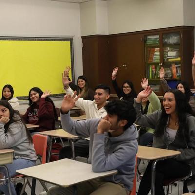 AP diversity image