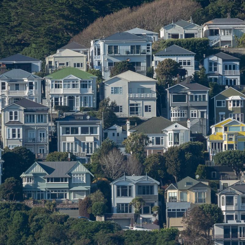 houses on hill in new zealand