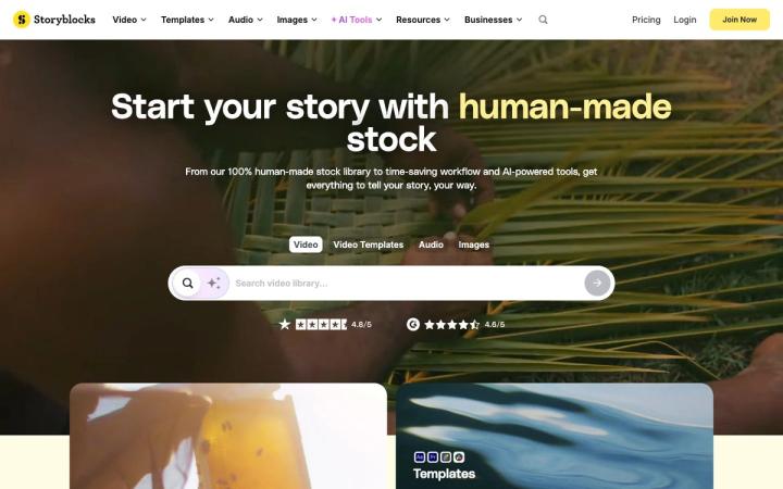 Storyblocks website homepage