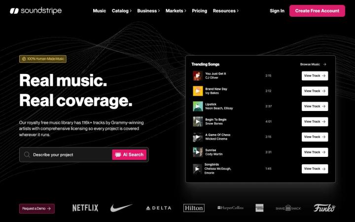Soundstripe website homepage