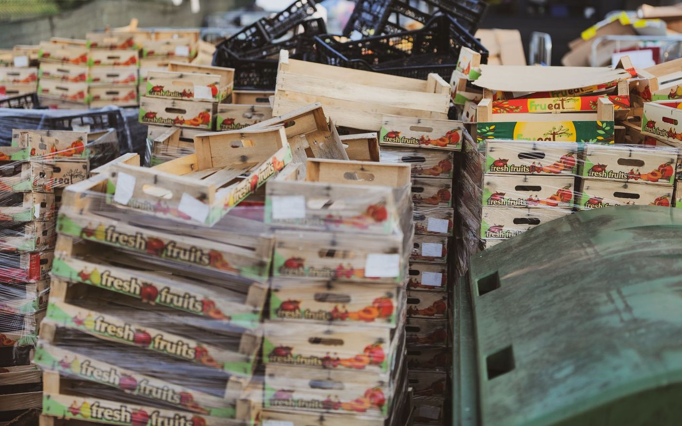 Chef avalia legumes maduros e de formatos variados sobre a bancada de uma cozinha profissional. — Foto: Vladimir Srajber (Pexels)