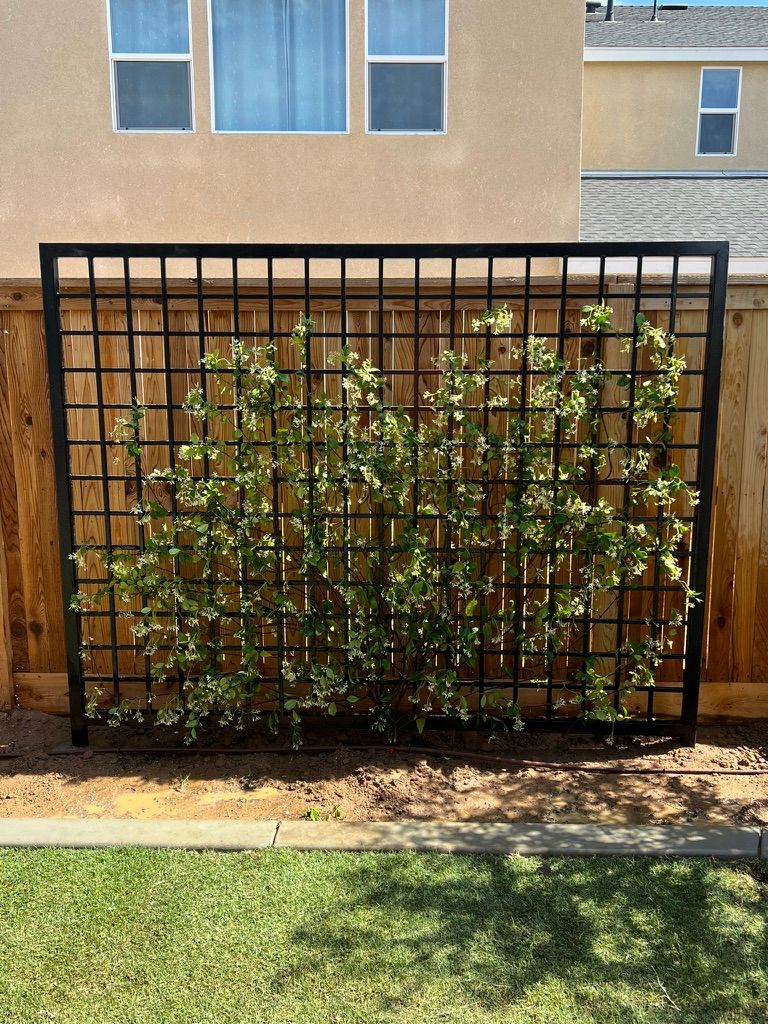 Iron trellis panel with climbing vines