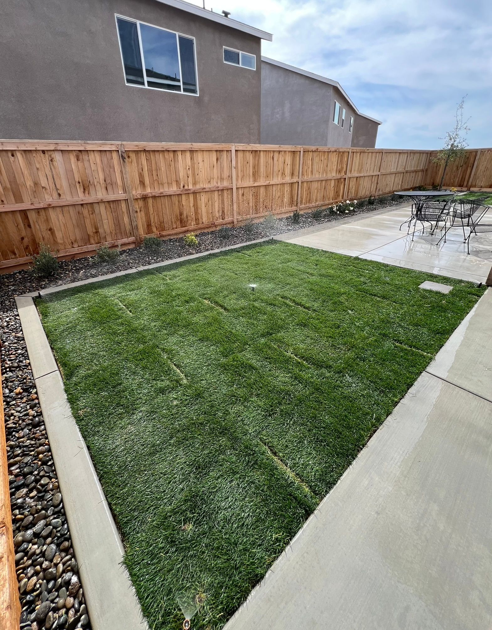 Backyard sod lawn installation with concrete patio borders and garden bed