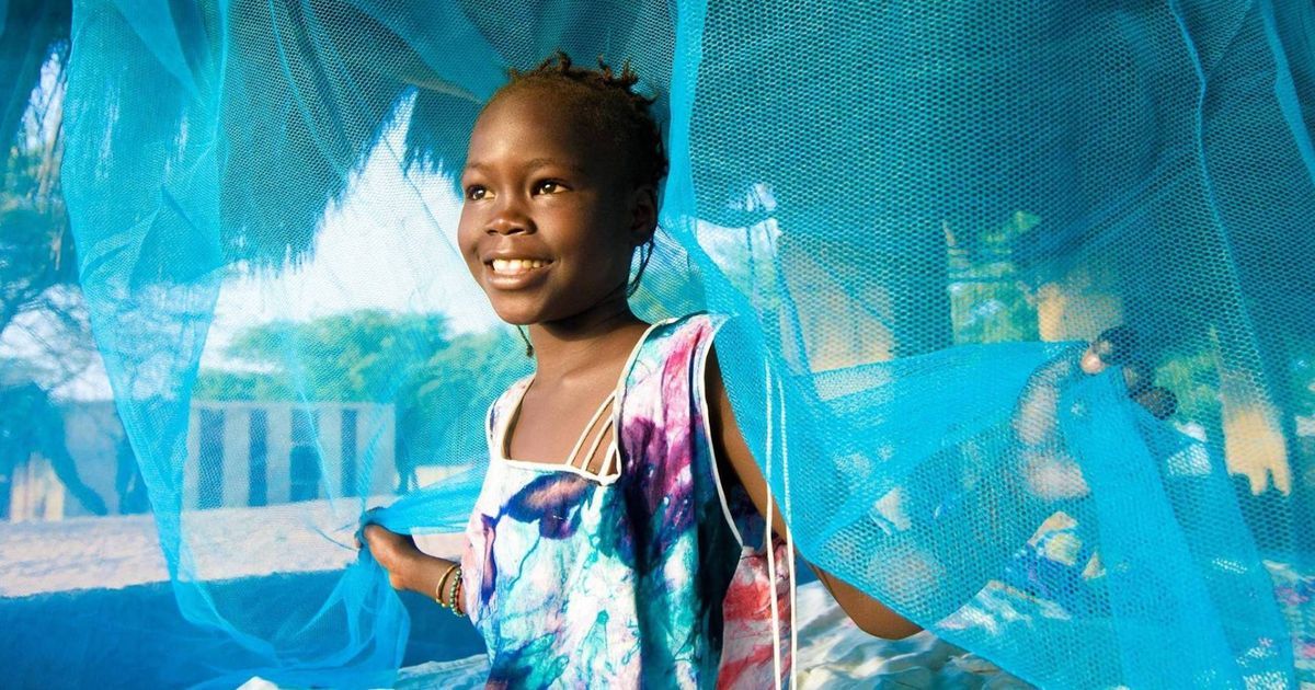 Against Malaria Foundation