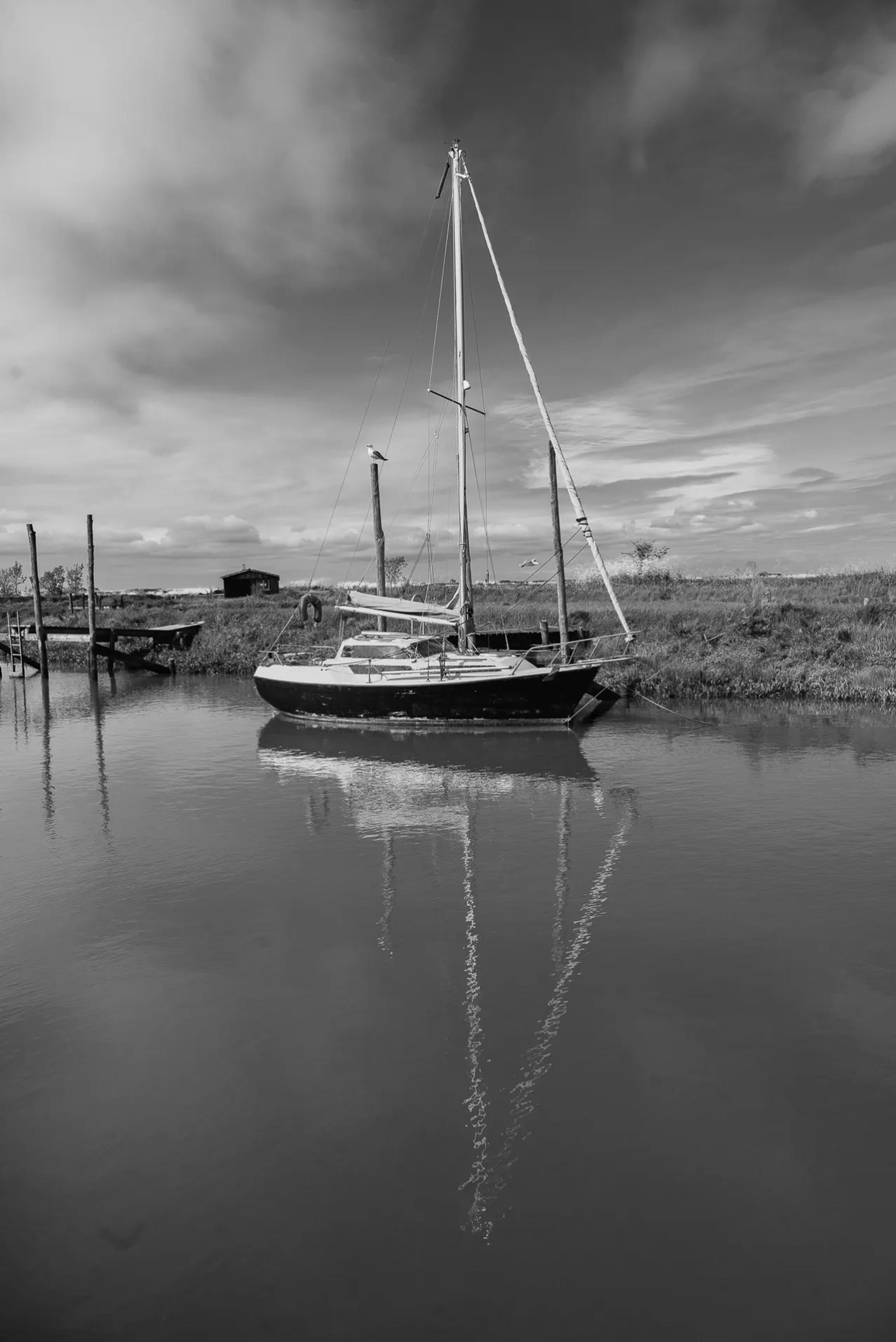 Photographie de Nicole Bureau (9)